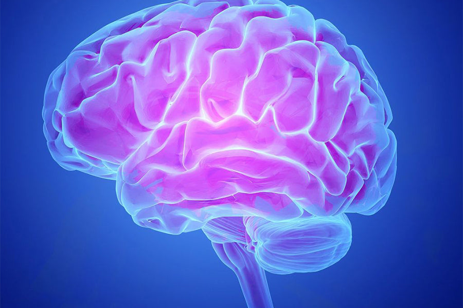 Limitless Brains: Unleashing the Power of Your Infinite Brain